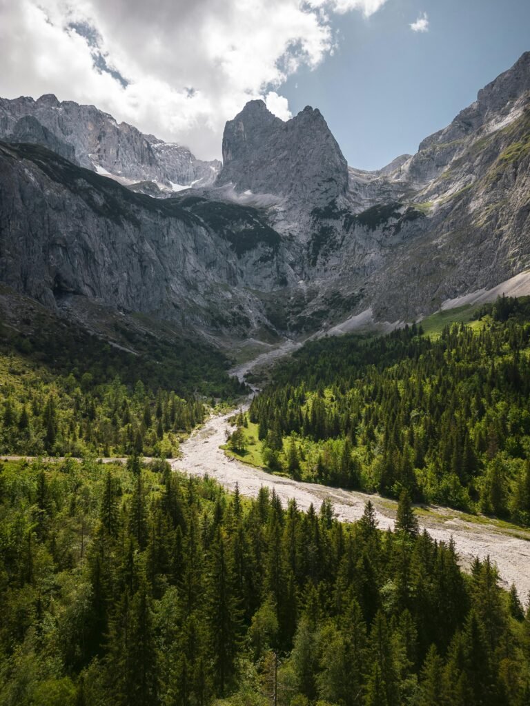 Breathtaking aerial view of the rugged Bavarian Alps with lush forests and rocky peaks under a clear sky.